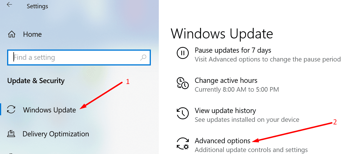 windows 10 advanced update options
